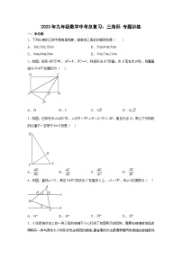 数学中考总复习：三角形专题训练