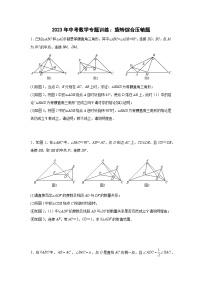 中考数学专题 训练：旋转综合压轴