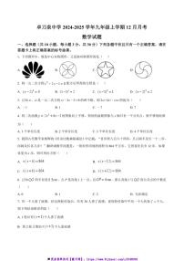 2024～2025学年湖北省武汉市卓刀泉中学九年级上12月月考数学试卷(含答案)