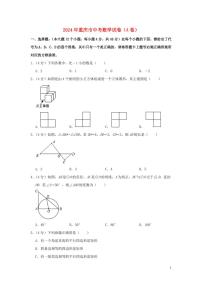 重庆市2024年中考数学水平提升模拟试题（A卷，含解析）