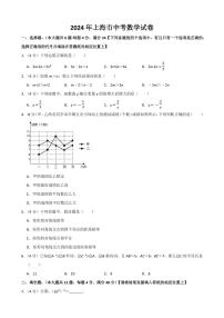 2024年上海市中考数学模拟试题（Word版，含解析）