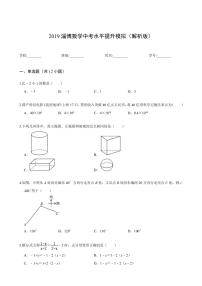 2024年淄博数学中考水平提升模拟(解析版)