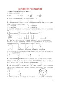 湖北省武汉市2024年中考数学水平提升模拟试题