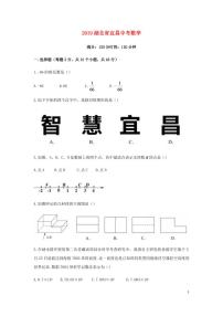 湖北省宜昌市2024年中考数学水平提升模拟试题