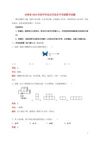 吉林省2024年中考数学水平提升模拟试题（含解析）