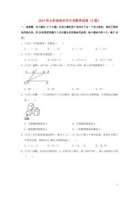 山东省滨州市2024年中考数学水平提升模拟试题（A卷，含解析）