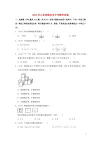 山东省潍坊市2024年中考数学水平提升模拟试题（含解析）