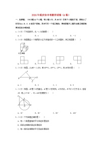 重庆市2024年中考数学水平提升模拟试题（A卷，含解析）