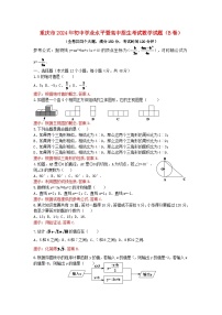 重庆市2024年中考数学水平提升模拟试题（B卷，含解析）