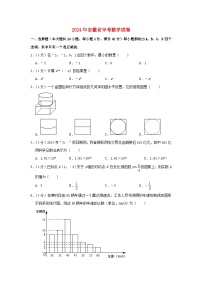 安徽省2024年中考数学水平提升模拟试题（含解析）