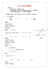 甘肃省兰州市2024年中考数学水平提升模拟试题（含解析）