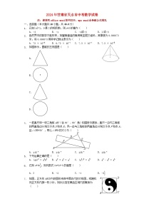 甘肃省天水市2024年中考数学水平提升模拟试题（含解析）