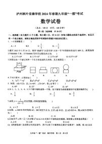2024年四川省泸州市江阳区枫叶佳德学校中考一模数学试题