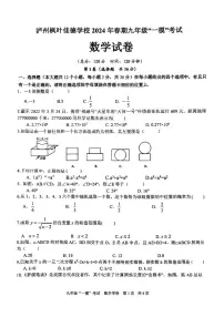 2024年四川省泸州市江阳区枫叶佳德学校中考一模数学试题