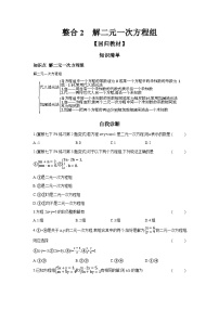 2024年中考数学考点提分微专题试卷整合2 解二元一次方程组