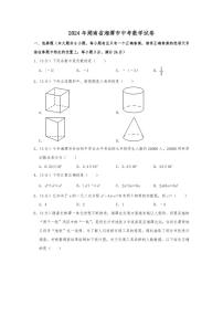 2024年湖南省湘潭市中考数学模拟试题（Word版，含解析）