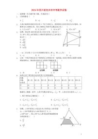 四川省宜宾市2024年中考数学模拟试题（含解析）