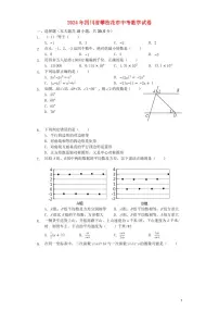 四川省攀枝花市2024年中考数学模拟试题（含解析）