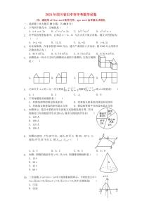 四川省巴中市2024年中考数学模拟试题（含解析）