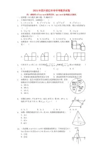 四川省巴中市2024年中考数学模拟试题（含解析）
