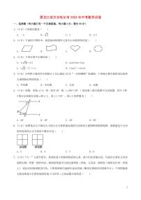 黑龙江省齐齐哈尔市2024年中考数学模拟试题（含解析）