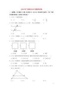 广西贺州市2024年中考数学模拟试题（含解析）