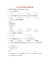 贵州省安顺市2024年中考数学模拟试题（含解析）