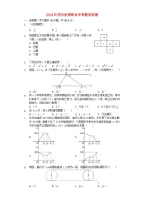 四川省资阳市2024年中考数学模拟试题（含解析）