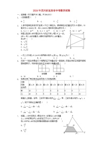 四川省宜宾市2024年中考数学模拟试题（含解析）