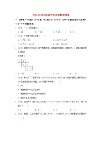 四川省遂宁市2024年中考数学模拟试题（含解析）