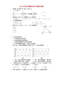 四川省攀枝花市2024年中考数学模拟试题（含解析）