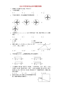 四川省乐山市2024年中考数学模拟试题（含解析）