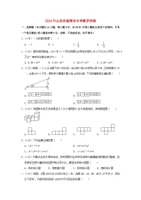 山东省威海市2024年中考数学模拟试题（含解析）