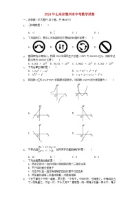 山东省德州市2024年中考数学模拟试题（含解析）