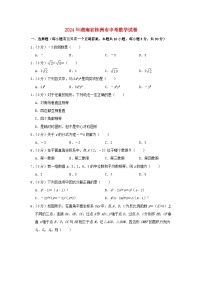 湖南省株洲市2024年中考数学模拟试题（含解析）