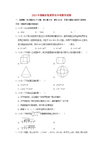 湖南省张家界市2024年中考数学模拟试题（含解析）