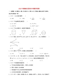 湖南省岳阳市2024年中考数学模拟试题（含解析）