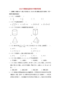 湖南省益阳市2024年中考数学模拟试题（含解析）