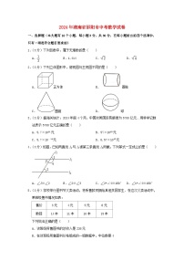 湖南省邵阳市2024年中考数学模拟试题（含解析）