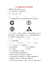 湖南省郴州市2024年中考数学模拟试题（含解析）