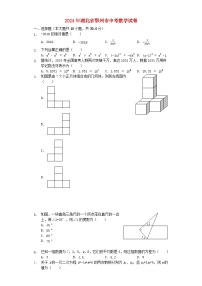湖北省鄂州市2024年中考数学模拟试题（含解析）