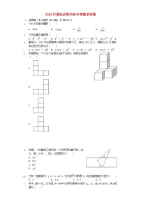 湖北省鄂州市2024年中考数学模拟试题（含解析）