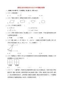 黑龙江省齐齐哈尔市2024年中考数学模拟试题（含解析）