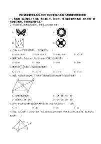 四川省成都市金牛区2023-2024学年八年级下学期期末数学试题