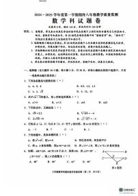 广东省揭阳市普宁市2024-2025学年八年级上学期1月期末数学试题