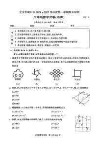 北京市朝阳区2024-2025学年九年级上学期期末考试数学试卷