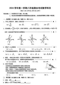 上海市闵行区2024—-2025学年八年级上学期期末数学试题