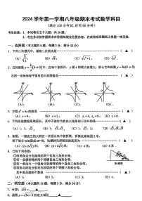 上海市闵行区2024—-2025学年八年级上学期期末数学试题