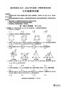 陕西省榆林市高新区2024—2025学年上学期九年级数学期末试卷