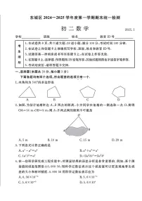 北京市东城区2024-2025学年八年级上学期期末数学试卷